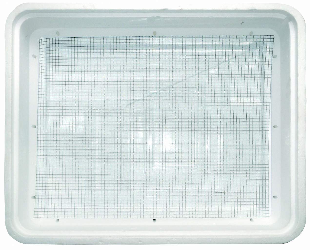 DRAGON PREMIUM INCUBATOR